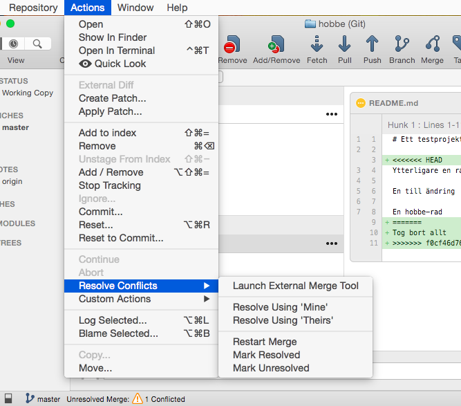 SourceTree client conflict